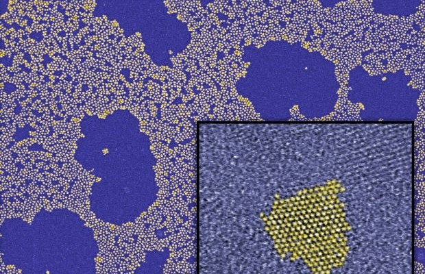 Zdjęcia nanocząstek ZnO z Instytutu Chemii Fizycznej PAN w Warszawie, wykonane metodą transmisyjnej mikroskopii elektronowej. Kolory sztuczne. (Źródło: IChF PAN)