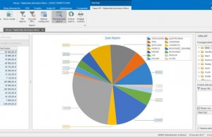 Connecto DMS - Business Intelligence